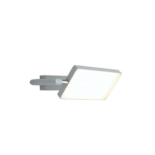 Birdwell 1 -Light LED Flush Mount