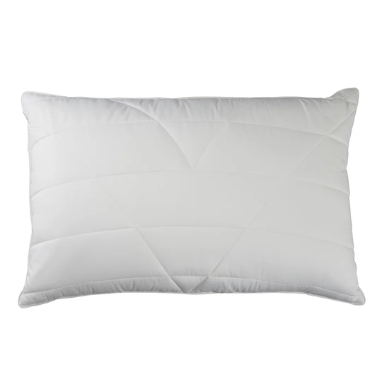 Hollander L75 x W50cm Pillow