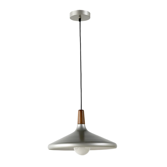 Pahrump 1 - Light Single Dome Pendant