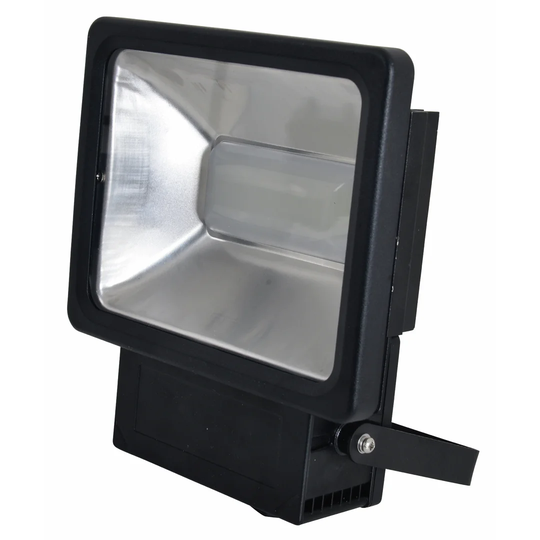Spiers 1 Light LED Flood Light