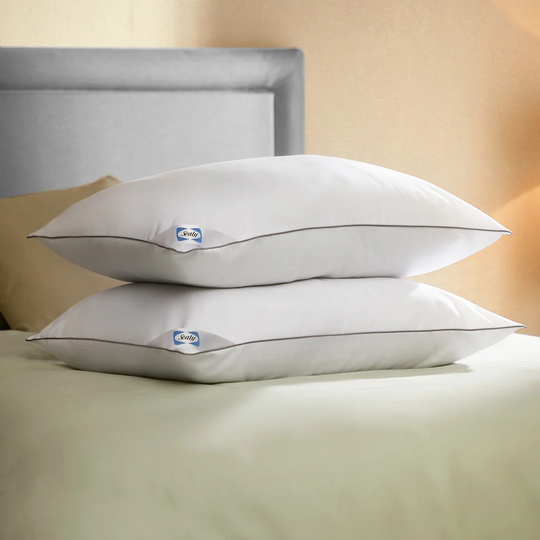 Sealy 2 Piece Anti Allergy Pillow (Set of 2)