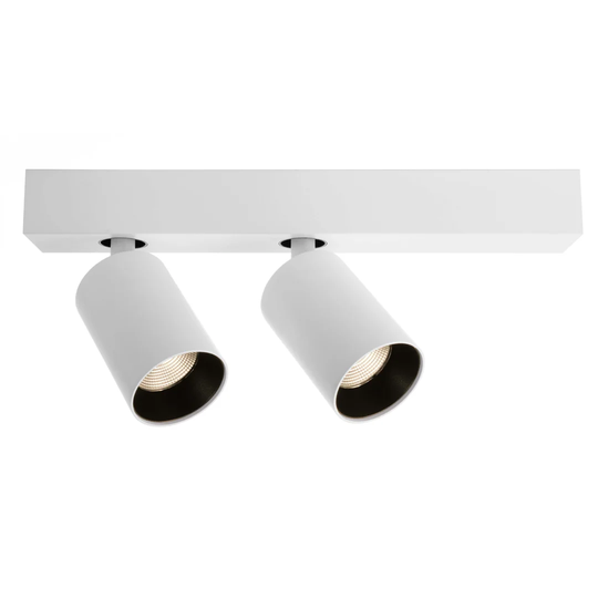 Klara 2-Light LED Ceiling Spotlight