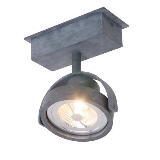 1 Light LED Ceiling Spotlight