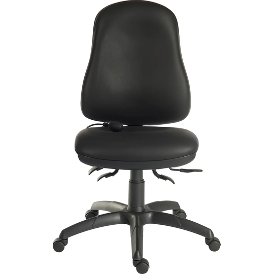Boylston Ergo Comfort Air Polyurethane Desk Chair