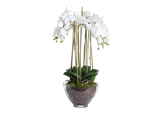 Large White Orchid Glass Pot