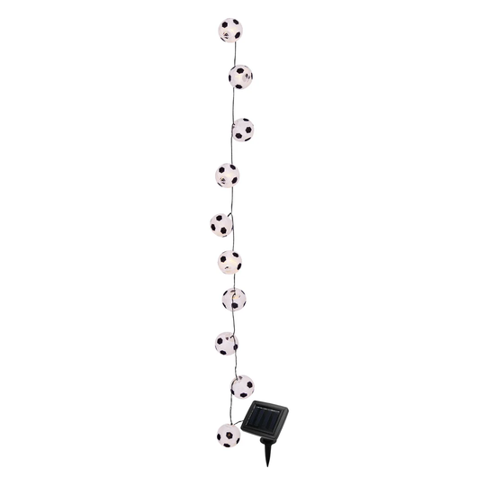 Hackford 20-Light LED String Lights