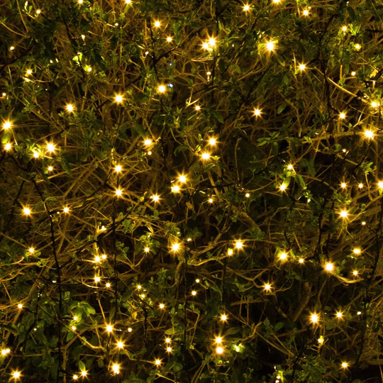 LED Multi Function Fairy Lights