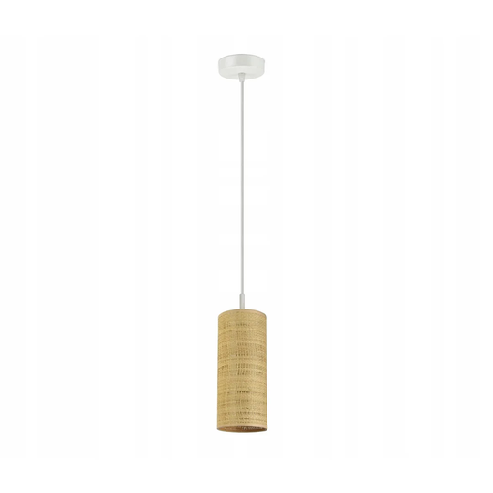 Abrahamsville 1 - Light Single Cylinder Pendant
