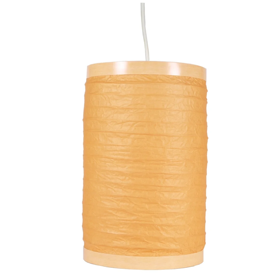 Roddy 1 - Light Single Drum Pendant