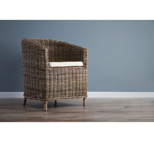 Paignt Tub Chair