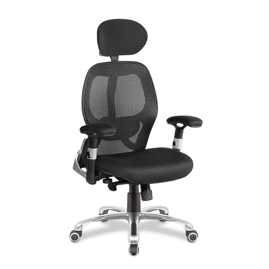 Tambrook Ergonomic Mesh Desk Chair