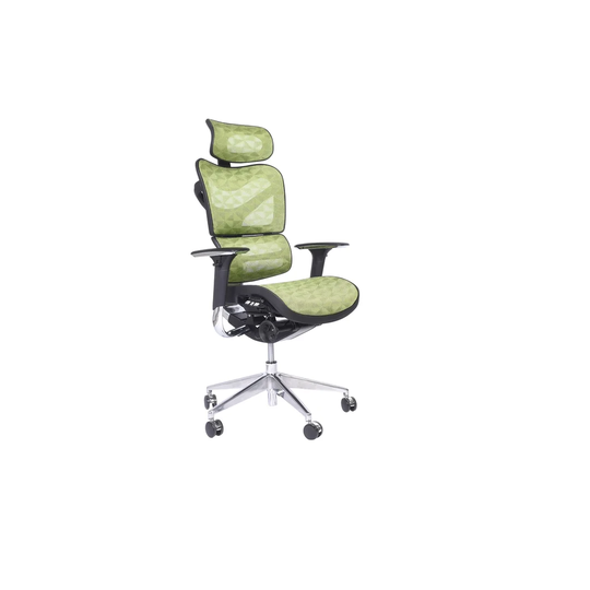 Havell Ergonomic Mesh Desk Chair