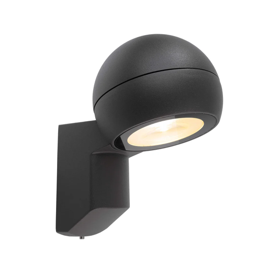 Leonis LED Outdoor Sconce