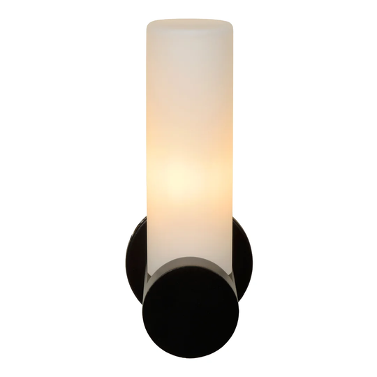 Jayla 1-Light Dimmable Black Wall Light