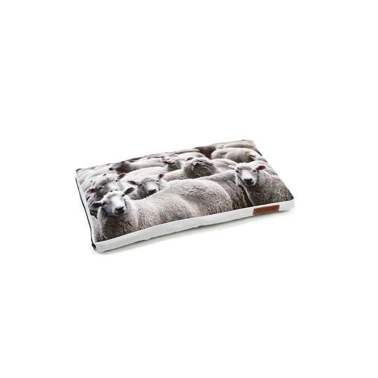 Maximo Pillow in Grey