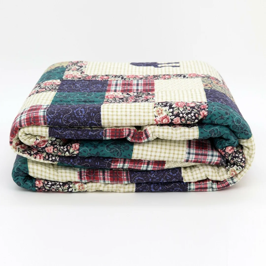 Bedspread Set with 2 Pillows