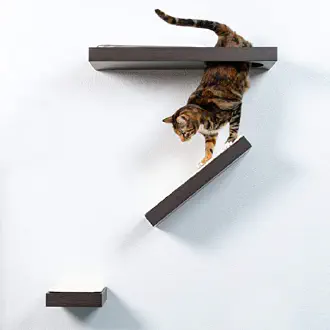 Cat Wall Shelves – The Ideal Perch For Happy Cats